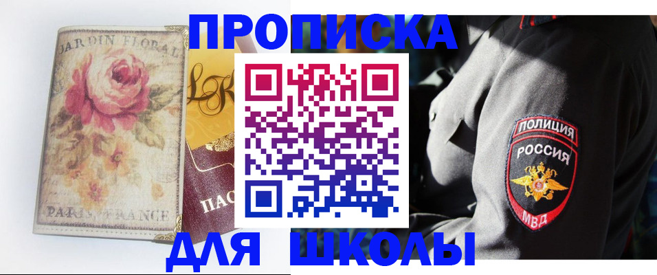 прописка гарантия в Бородино